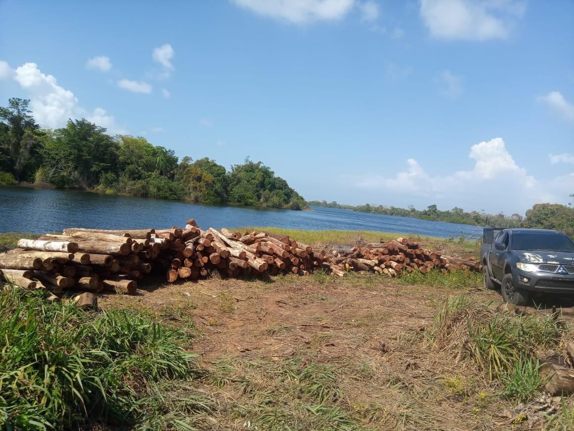 Plantación Forestal – Lago Gatún (70 ha)
